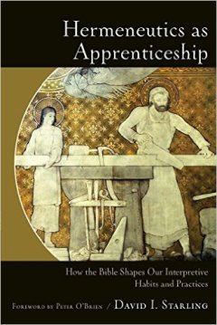 hermeneutics-as-apprenticeship